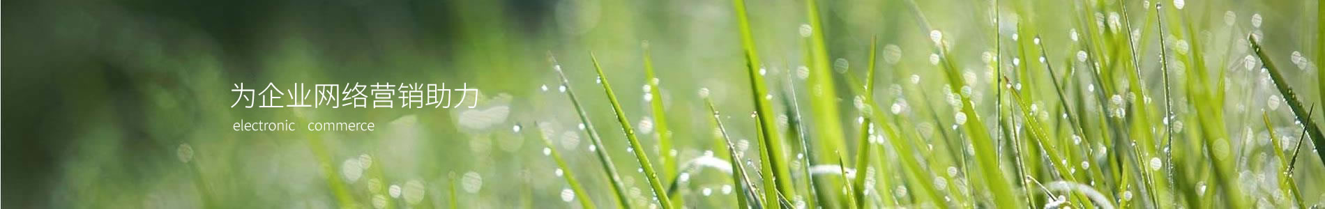 ԪܿƼ޹˾